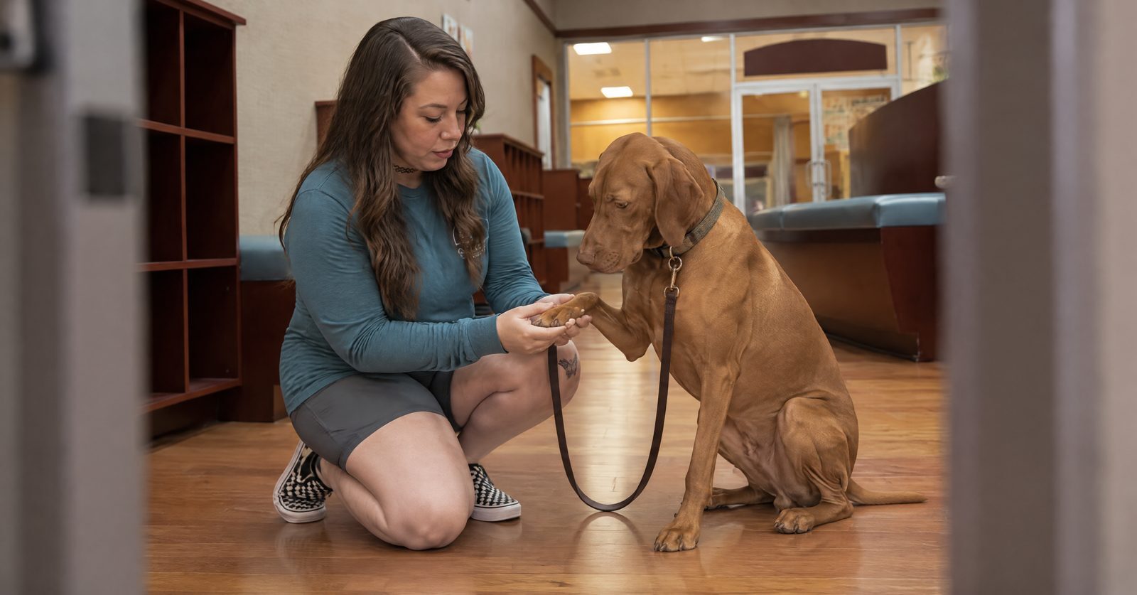 Alessandra Oosthuisen checking an adult Whippet's paw pads after a summer walk