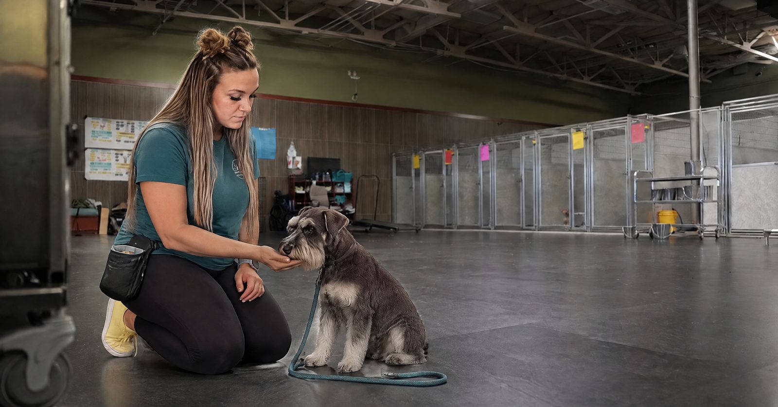 Trainer explaining the balanced training approach while conditioning a flat collar on a rescue Boxer in Scottsdale