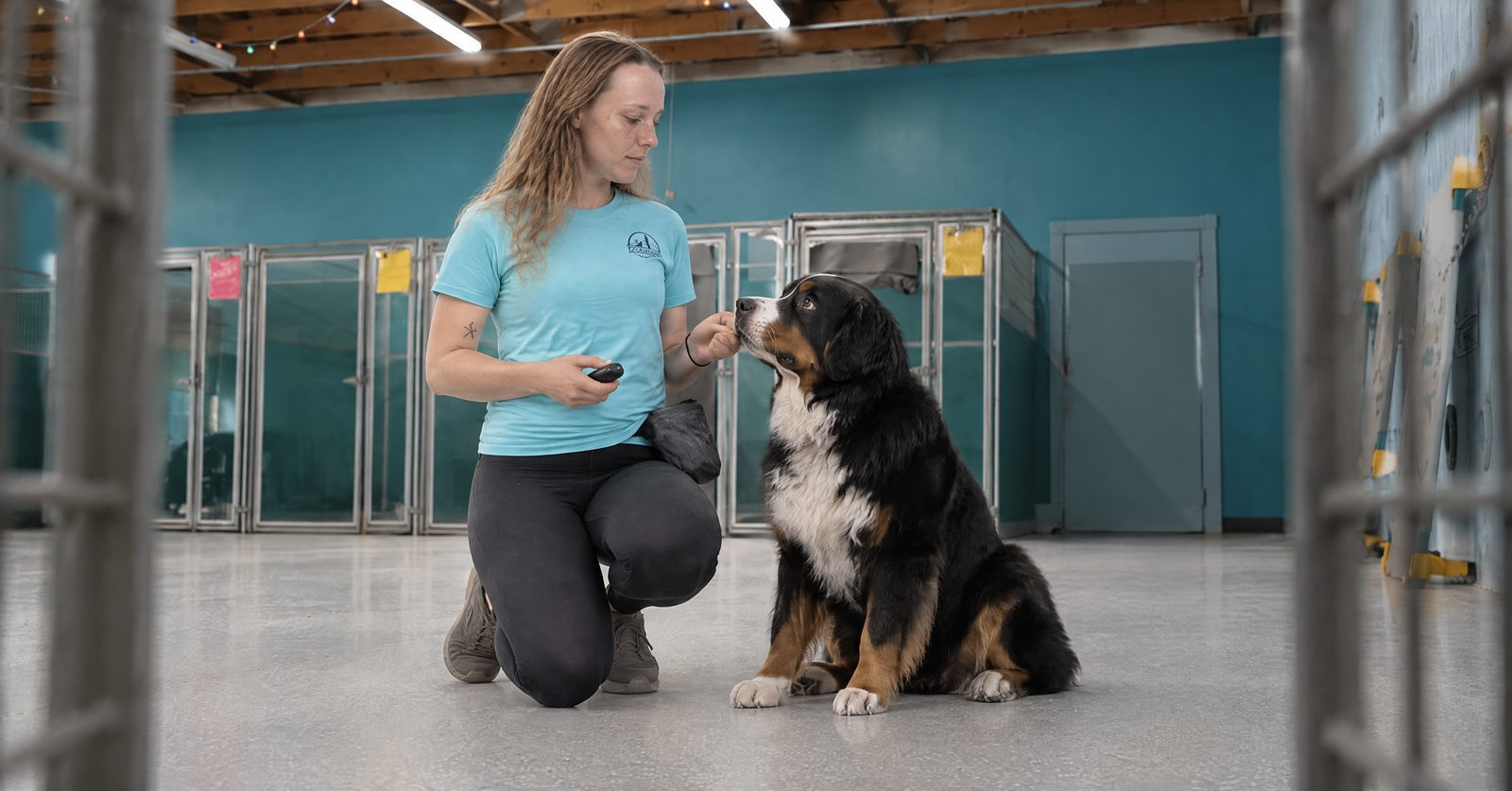 Trainer Monica Jensen conditioning a Beagle to a bark collar at the lowest perceptible level in a Cave Creek group class