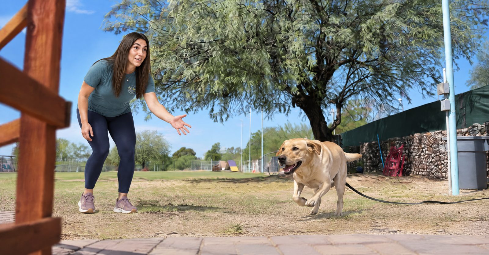 Trainer working a recall rep with a dog on a long line in an Arizona yard