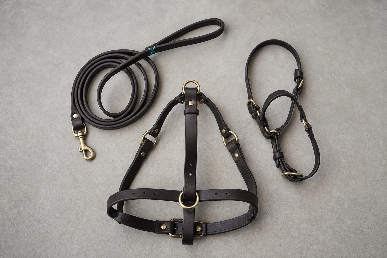 Conditioned properly fitted leash walking tools: six-foot leash, front-clip harness, head halter