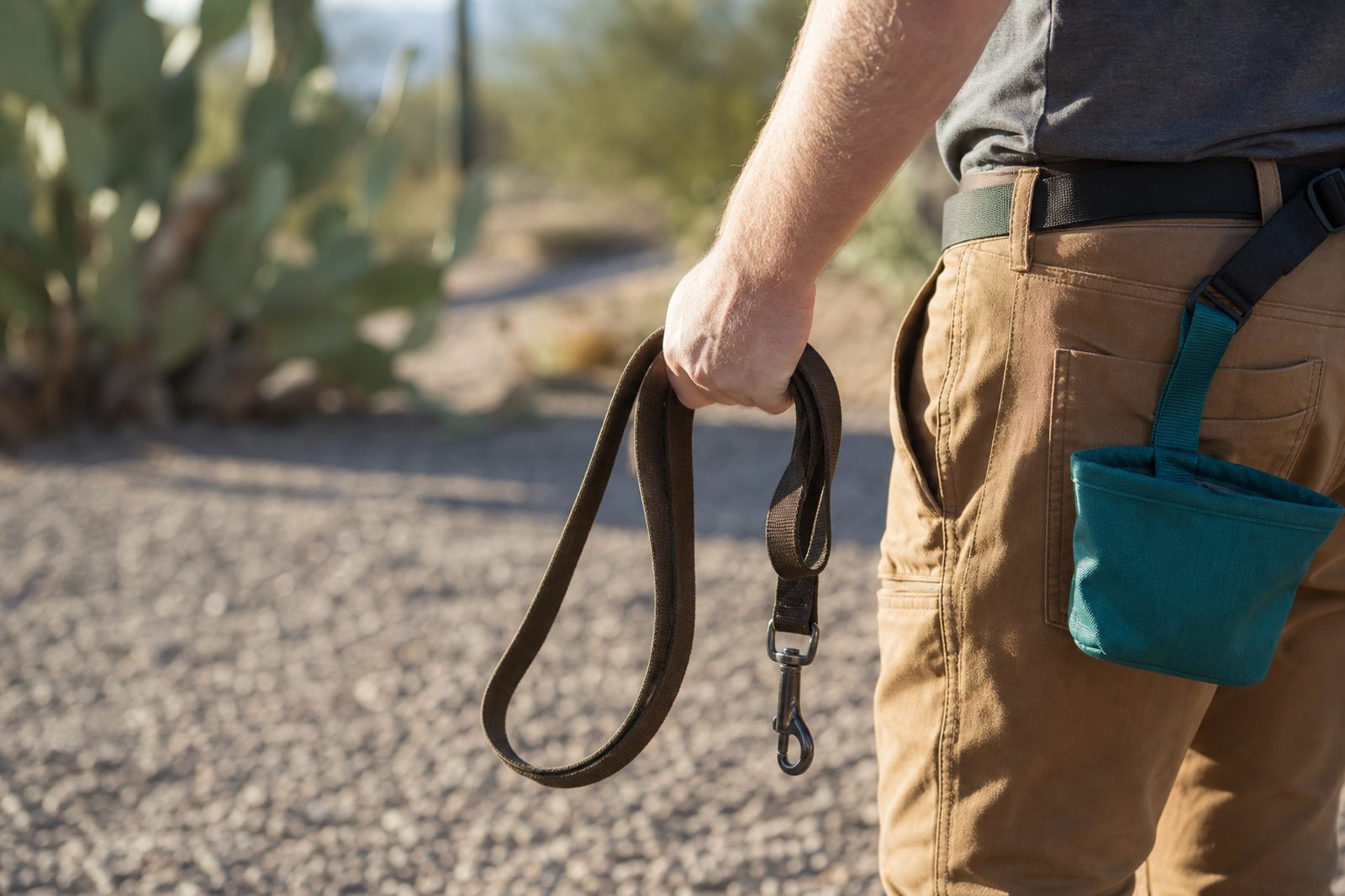 Close-up of a slack leash with the metal clip hanging straight down
