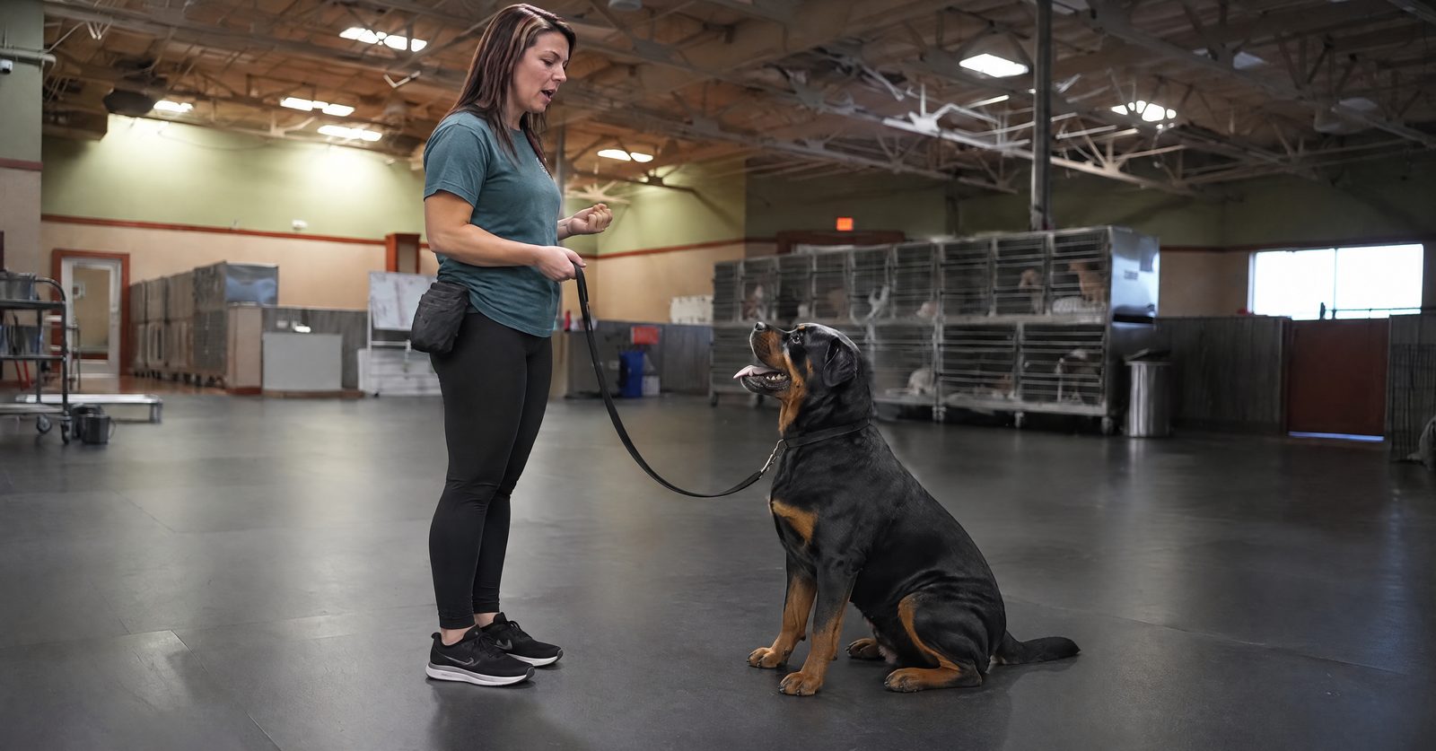 Partners Dogs trainer coaching a Pet Parent with two dogs on leash in a multi dog household private lesson