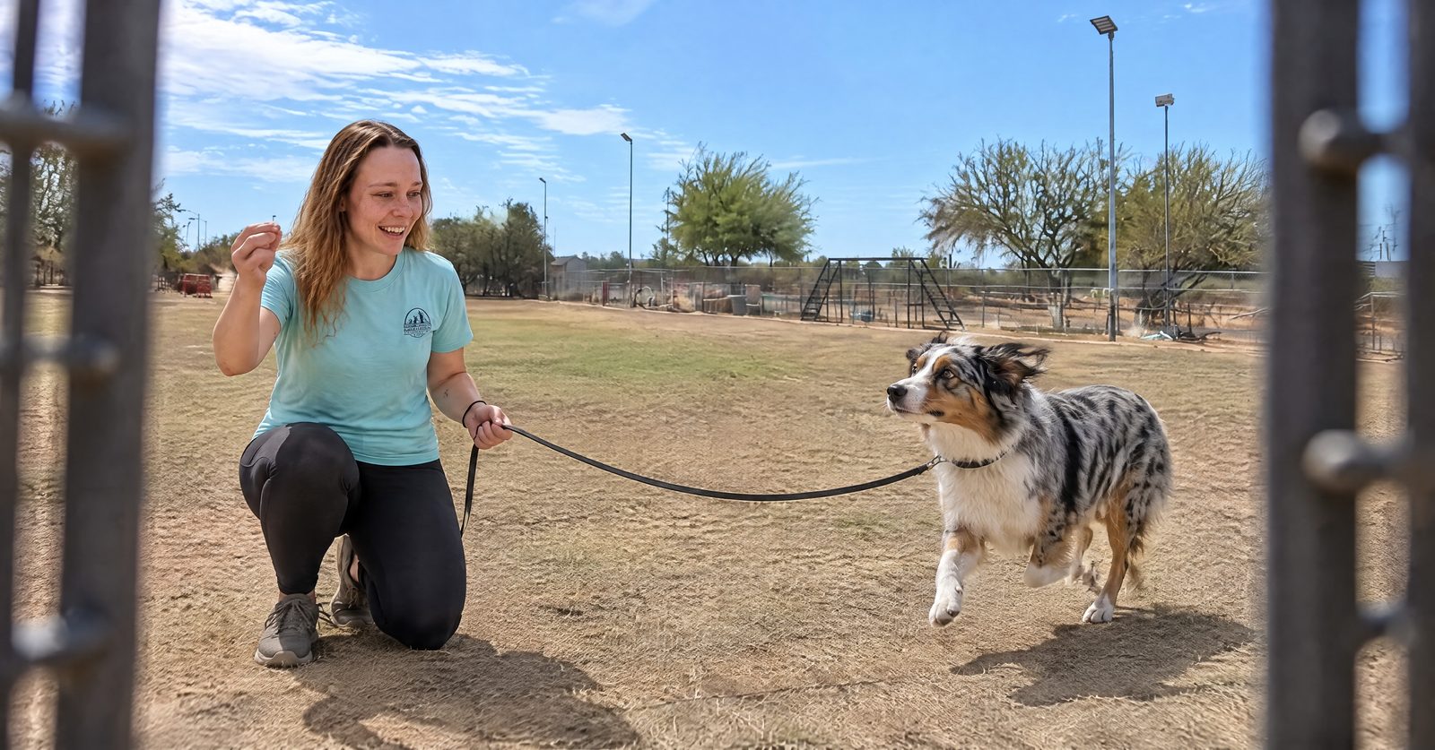 Trainer proofing an adolescent Boxer's obedience through five D's distraction training