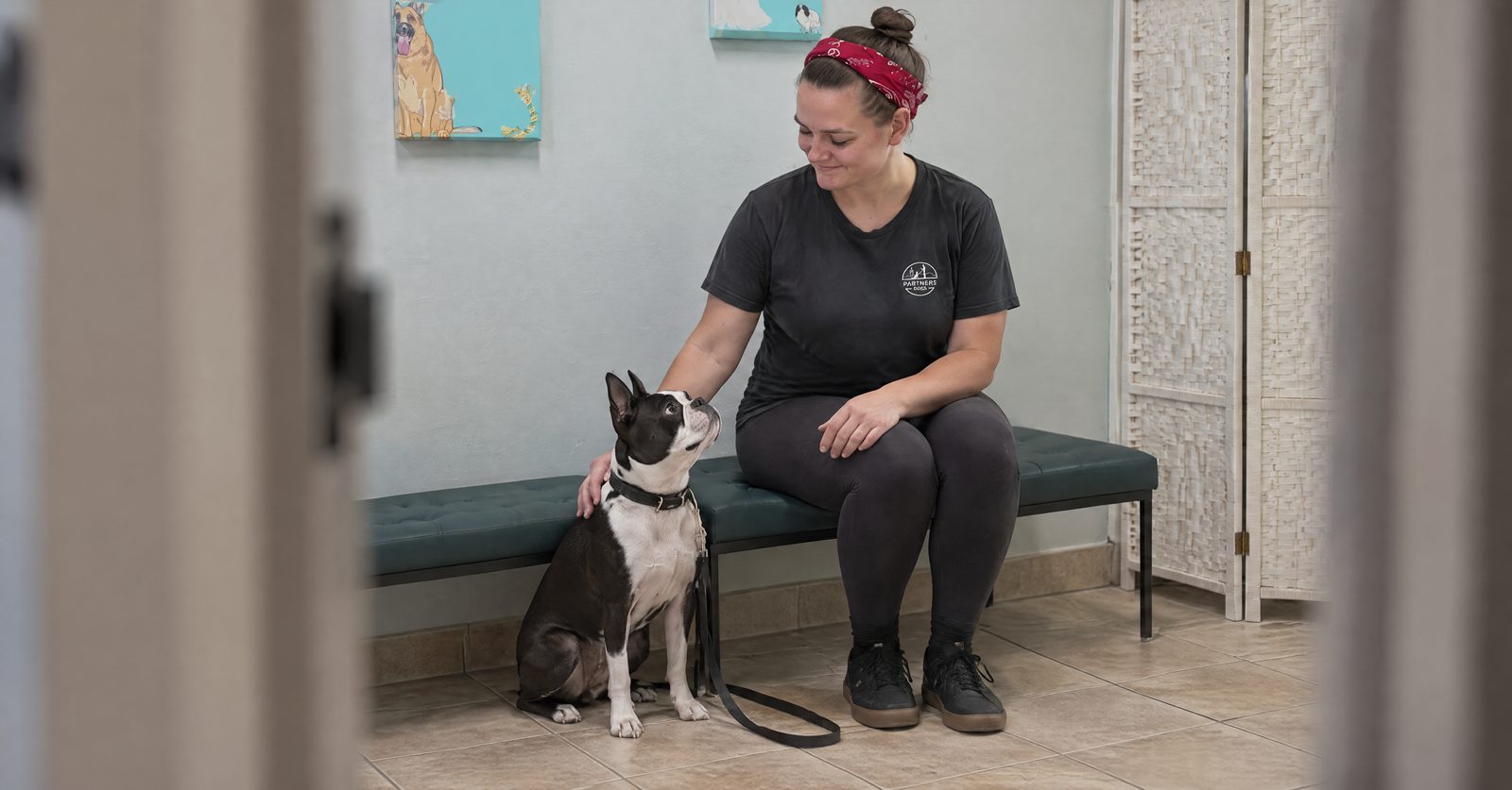 Trainer sitting beside a resting adult Boxer on a dog bed at home after a veterinary check