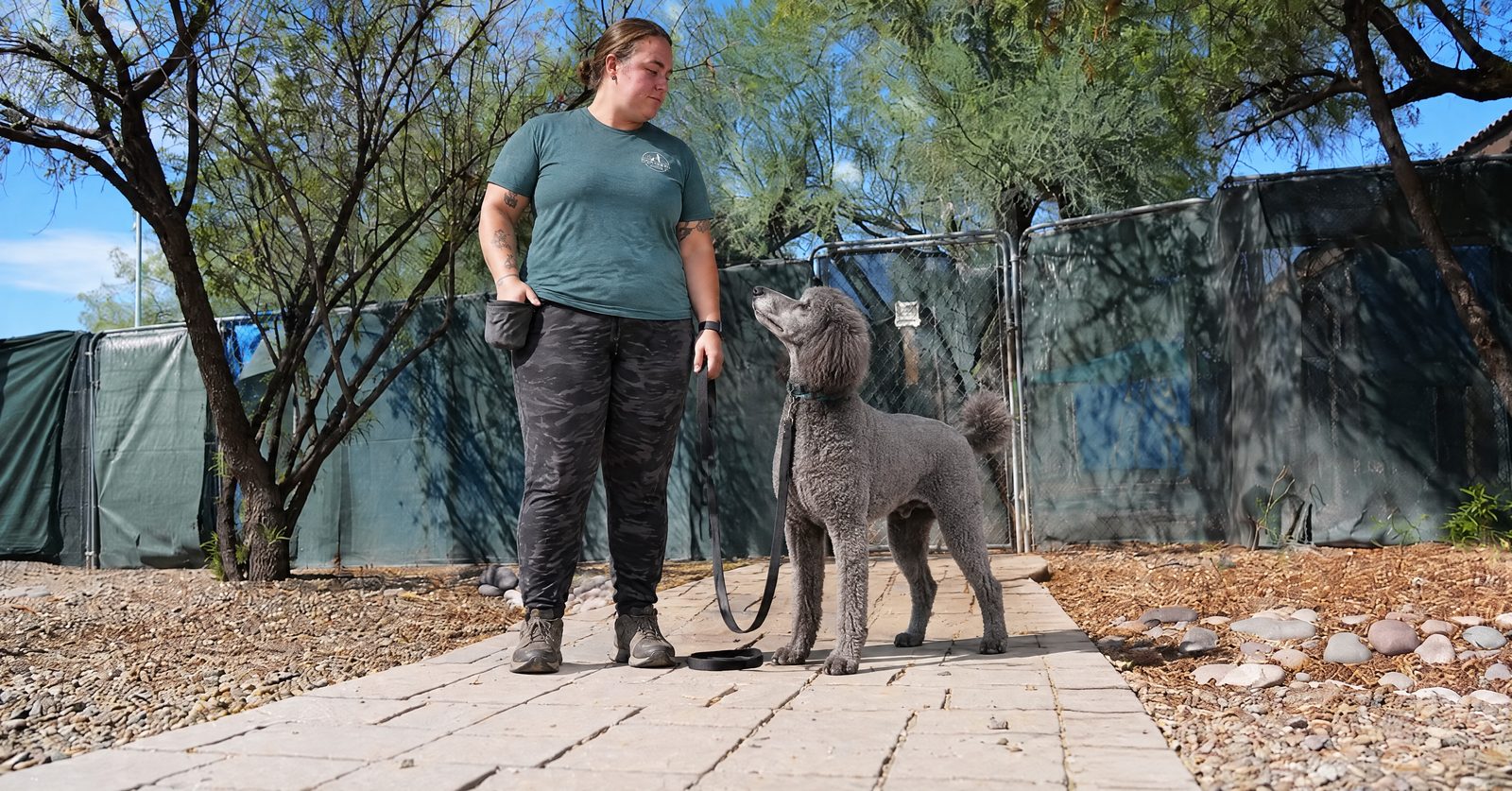 Trainer working a leave it drill with a dog on leash near desert landscaping at night