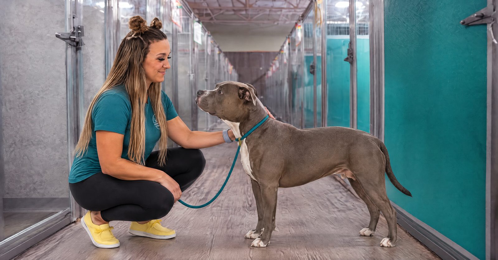Partners Dogs trainer doing a wellness check with a dog during a summer boarding stay
