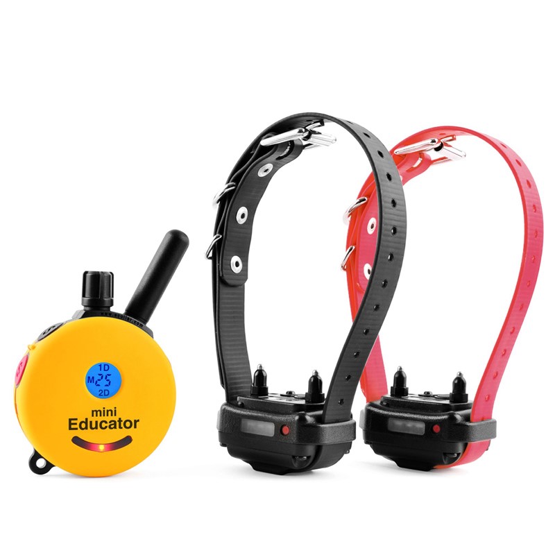 Yellow Mini-Educator two-dog remote transmitter with an LCD display next to two collar receivers, one on a black strap and one on a red strap, each with visible metal contact points, on a white background.