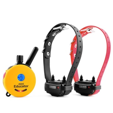 Yellow Mini-Educator two-dog remote transmitter with an LCD display next to two collar receivers, one on a black strap and one on a red strap, each with visible metal contact points, on a white background.