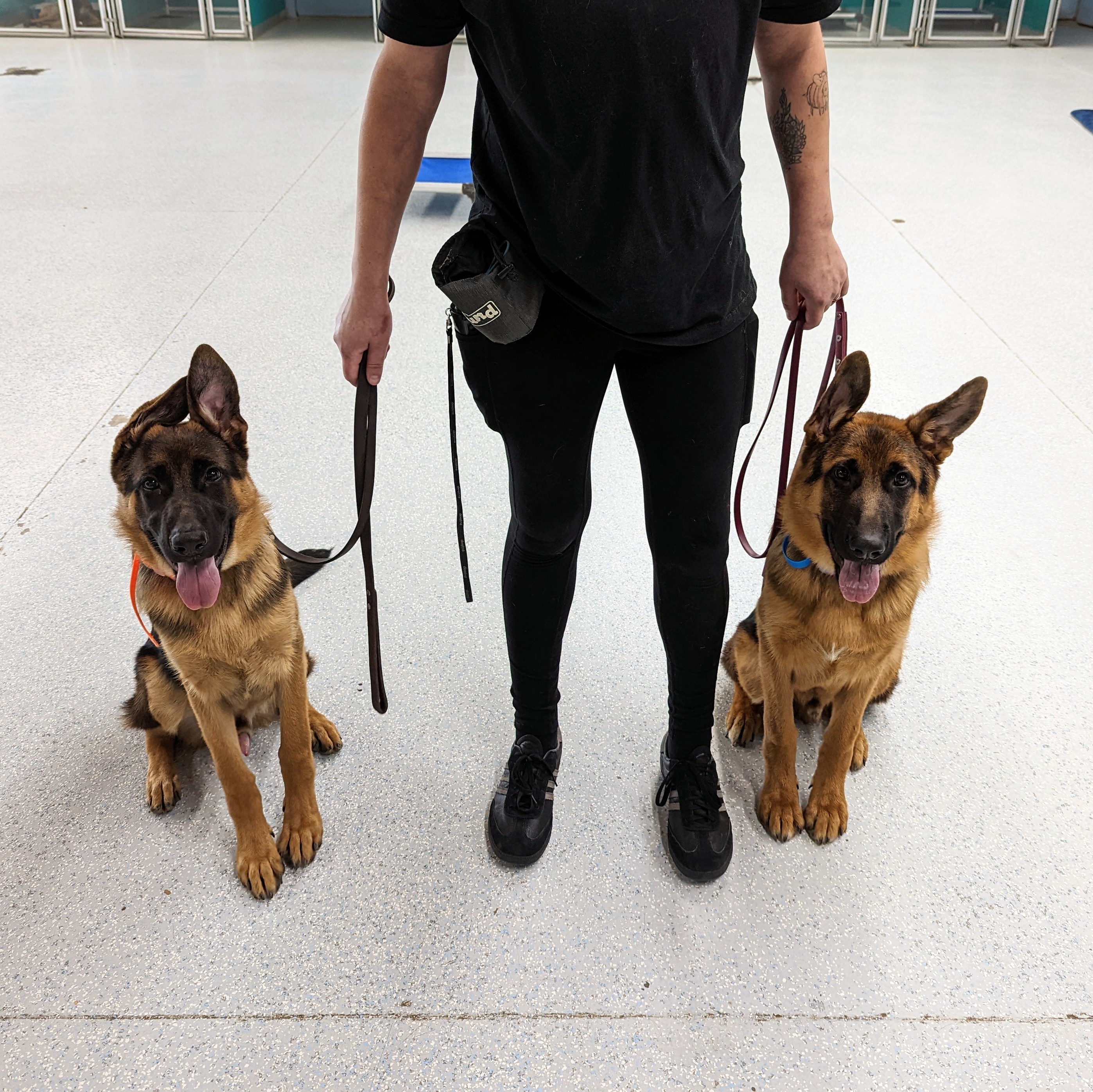 A Partners Dogs handler standing with a seated German Shepherd on leash, the kind of one-on-one staff credential a parent should ask about