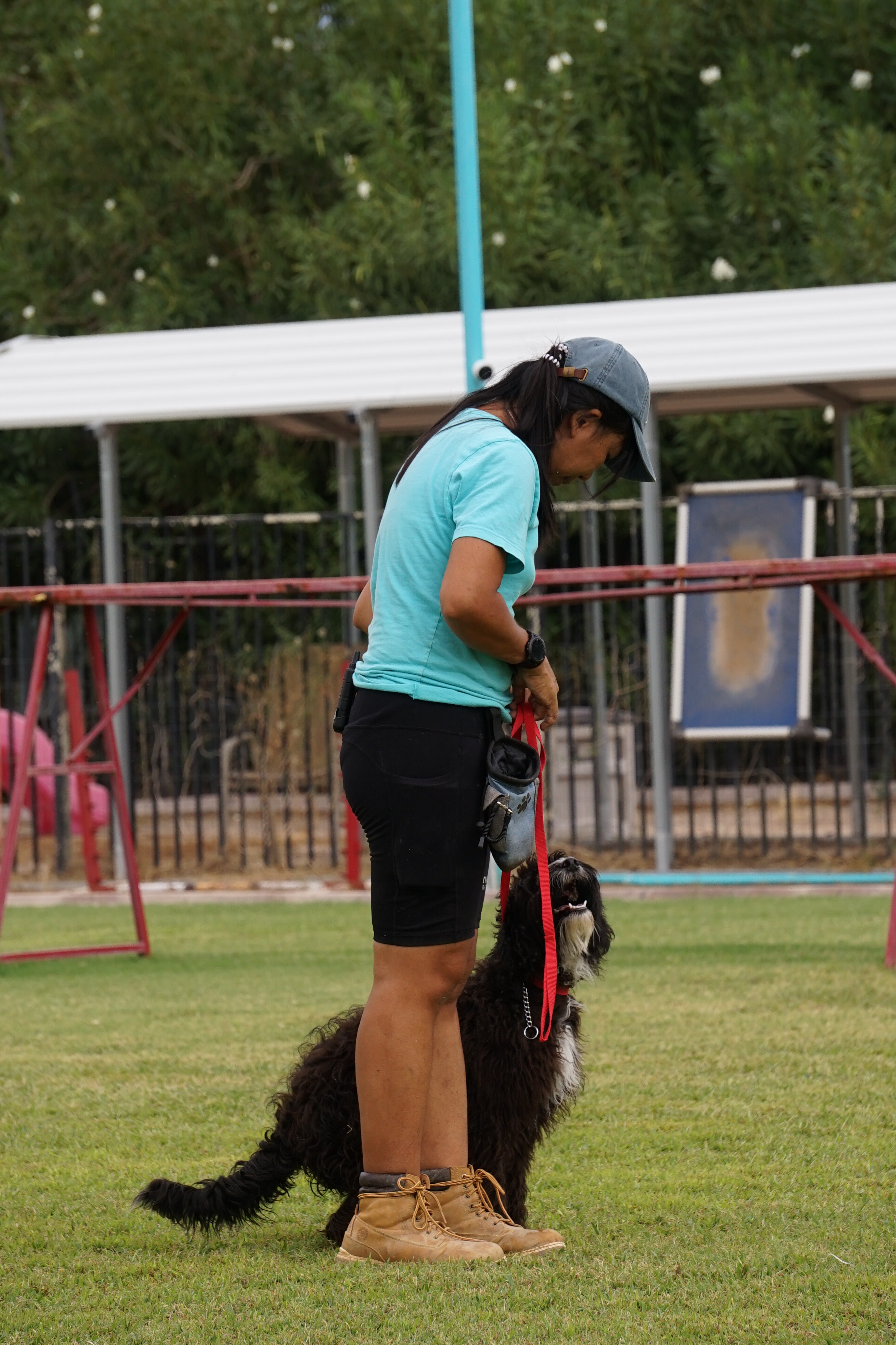 Two Partners Dogs trainers each working one dog at a time on the outdoor agility field, showing the small trainer-to-dog ratio behind DaySchool