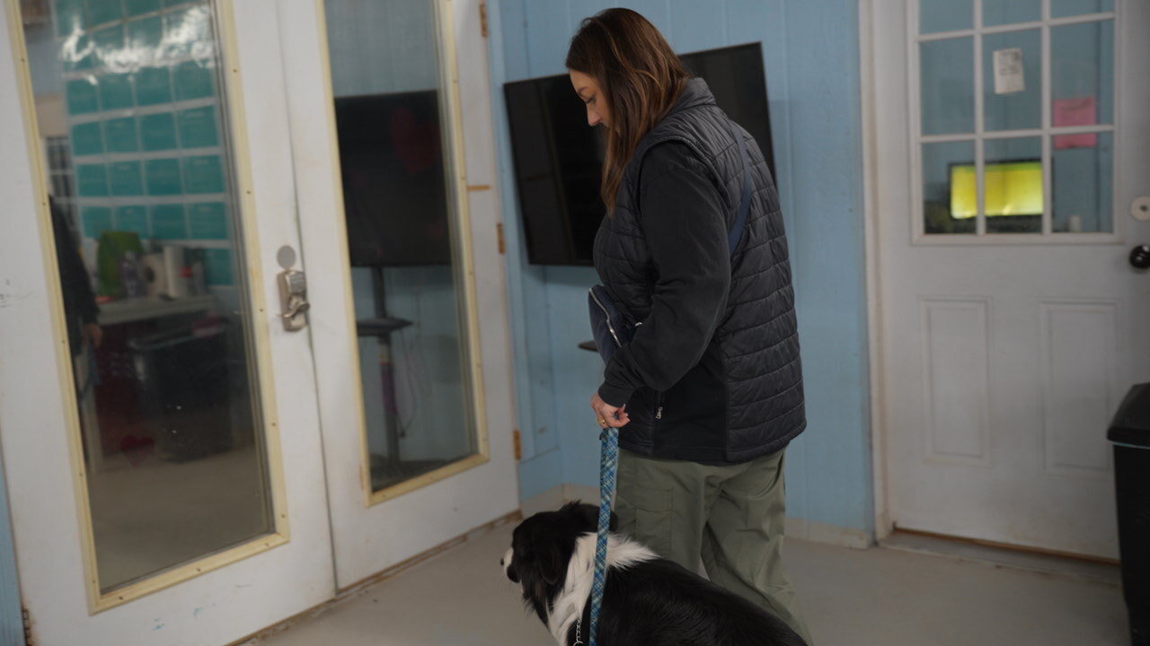 Trainer working an obedience heel and sit-stay with a dog during a private lesson