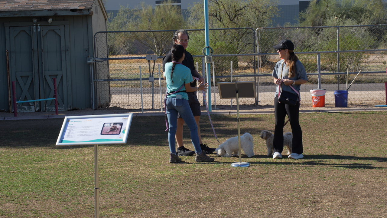 A full outdoor group class with multiple trainers working different dogs at once, the kind of daily volume that builds pattern recognition