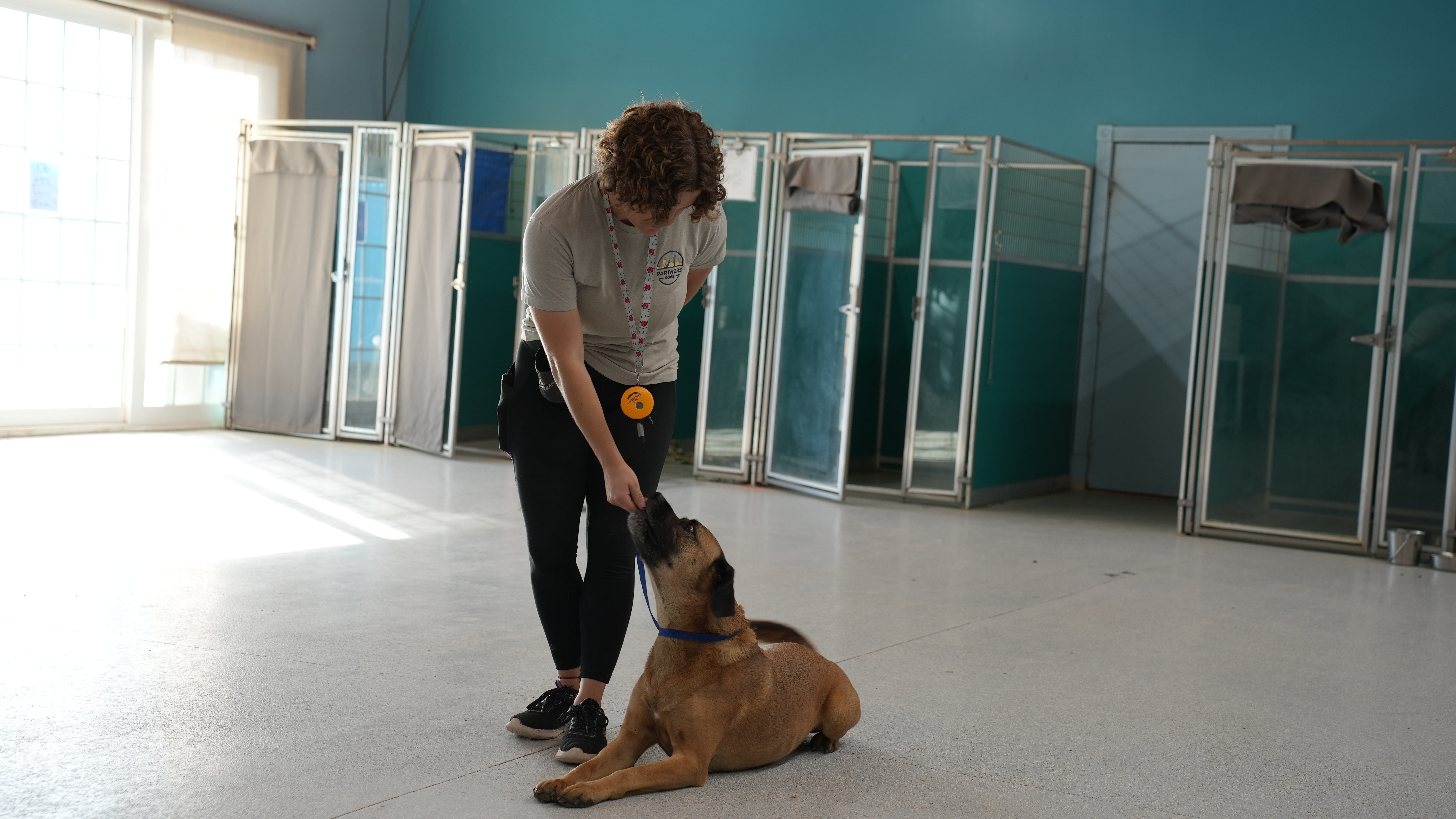 Two Partners Dogs trainers working dogs on leash on the training field, the kind of hands-on floor time CCPDT logged-hours requirements point to