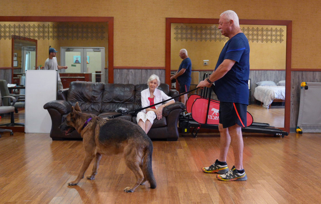 Trainer watching a dog closely on leash for early stress signals during a reactivity session