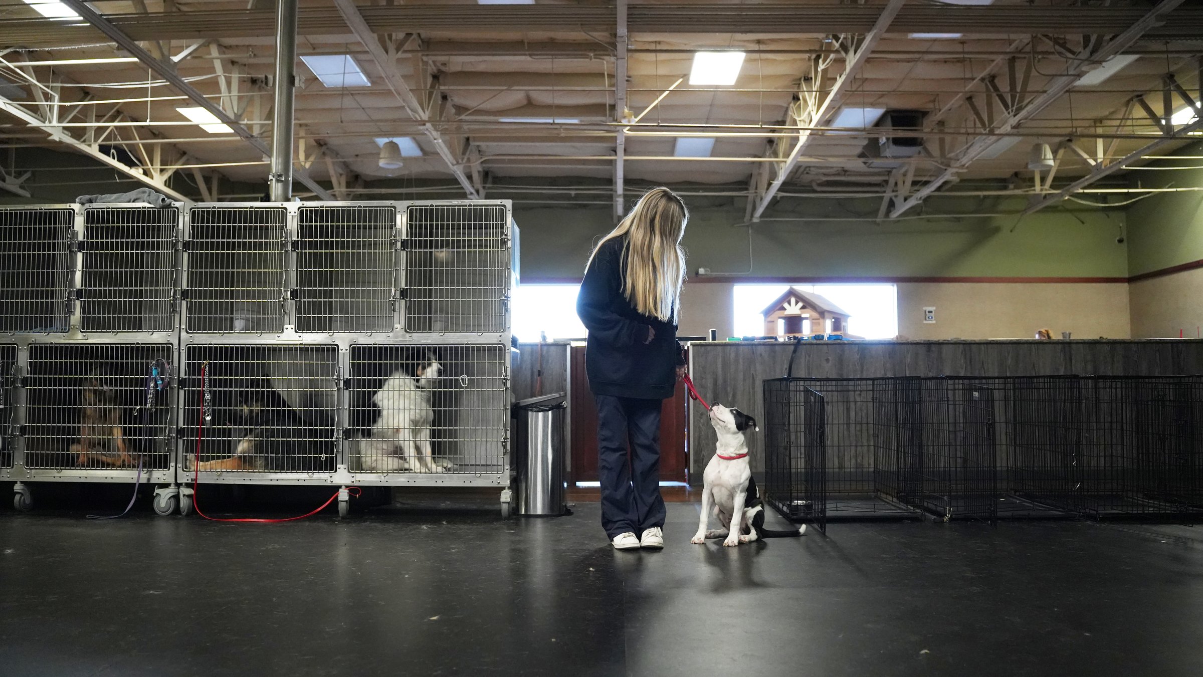 Trainer talking through a dog's progress with a client on the training field, German Shepherd sitting beside them